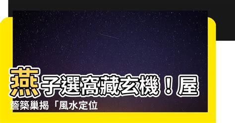 燕子巢 風水|燕子築巢＝風水寶地 民俗專家：這「4個生肖」準備在。